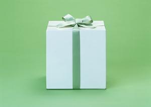 重要無形文化財雅楽のDVDのお店